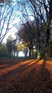 Leentje 03 Heiloerbos dinsdagmorgen